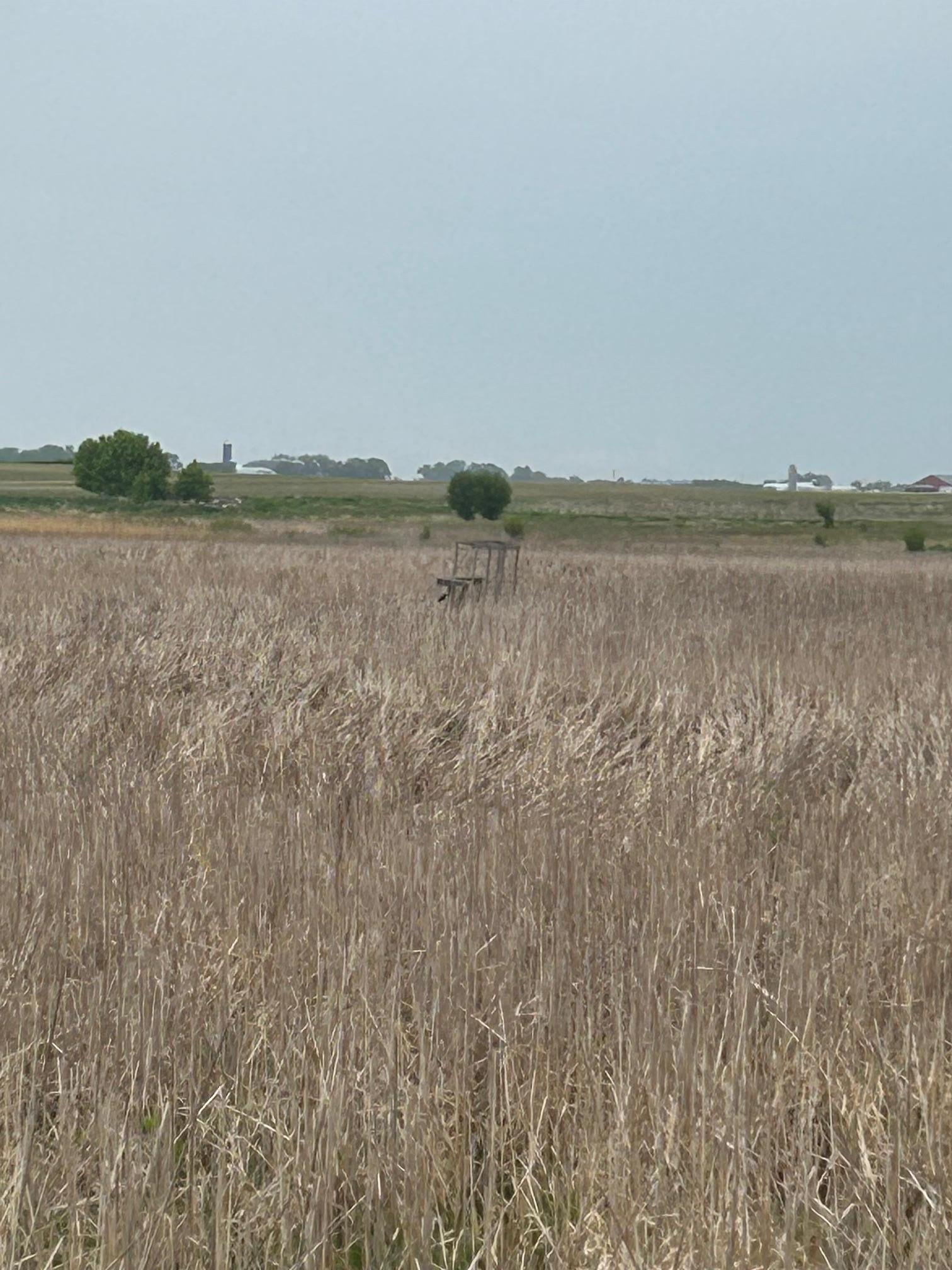 975 175th Avenue Southeast Kerkhoven, MN 56252 - Photo 27 of 34