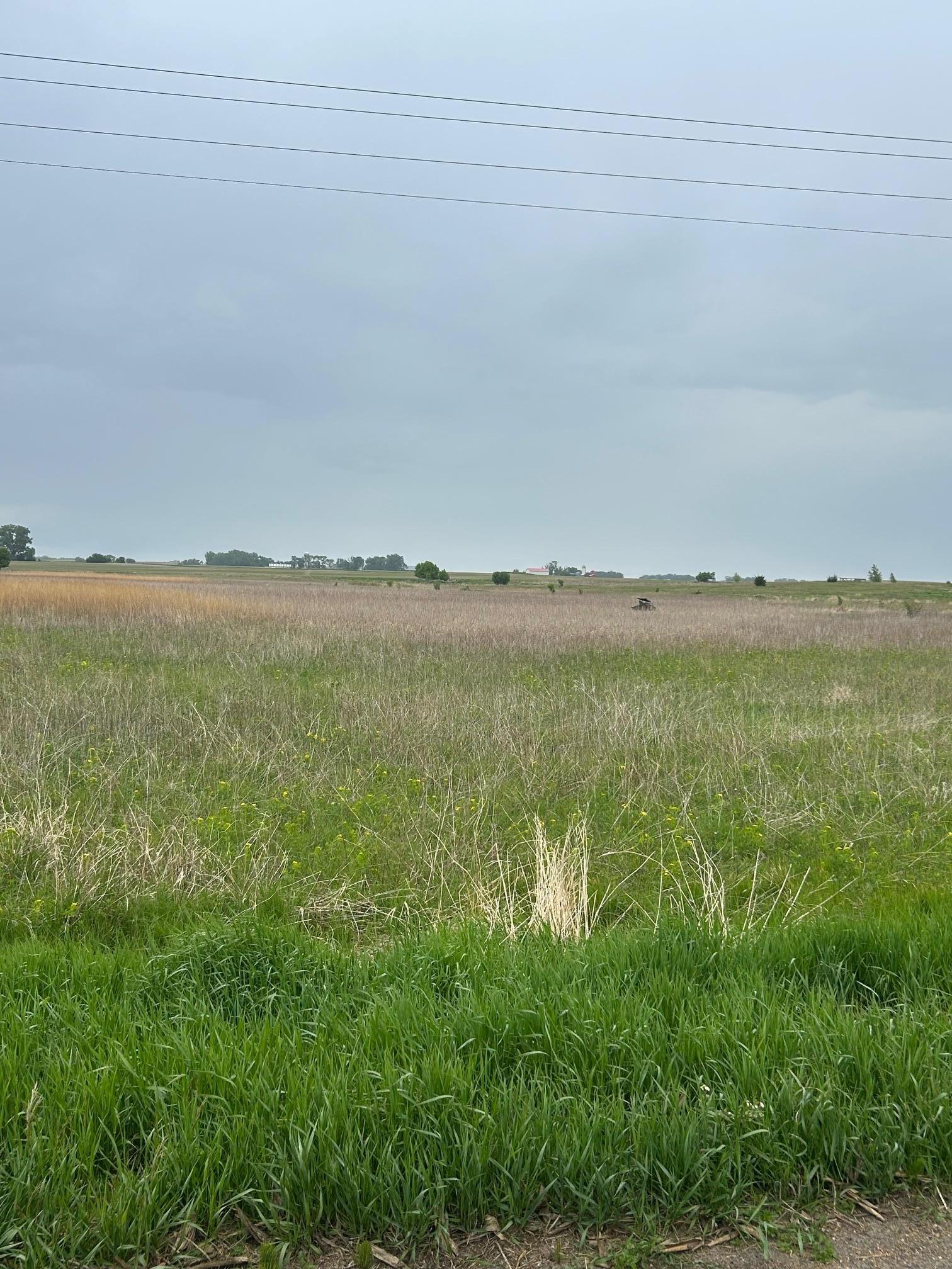 975 175th Avenue Southeast Kerkhoven, MN 56252 - Photo 28 of 34