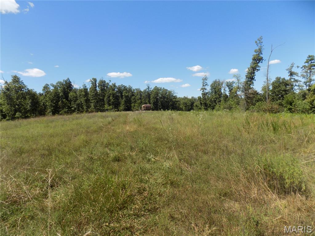 5559 A County Road, Unit 124 Arcadia, MO 63621 - Photo 3 of 7