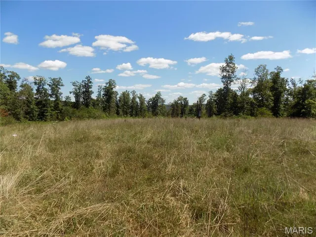 $110,000 | 5559 A County Road, Unit 124, Arcadia, MO 63621