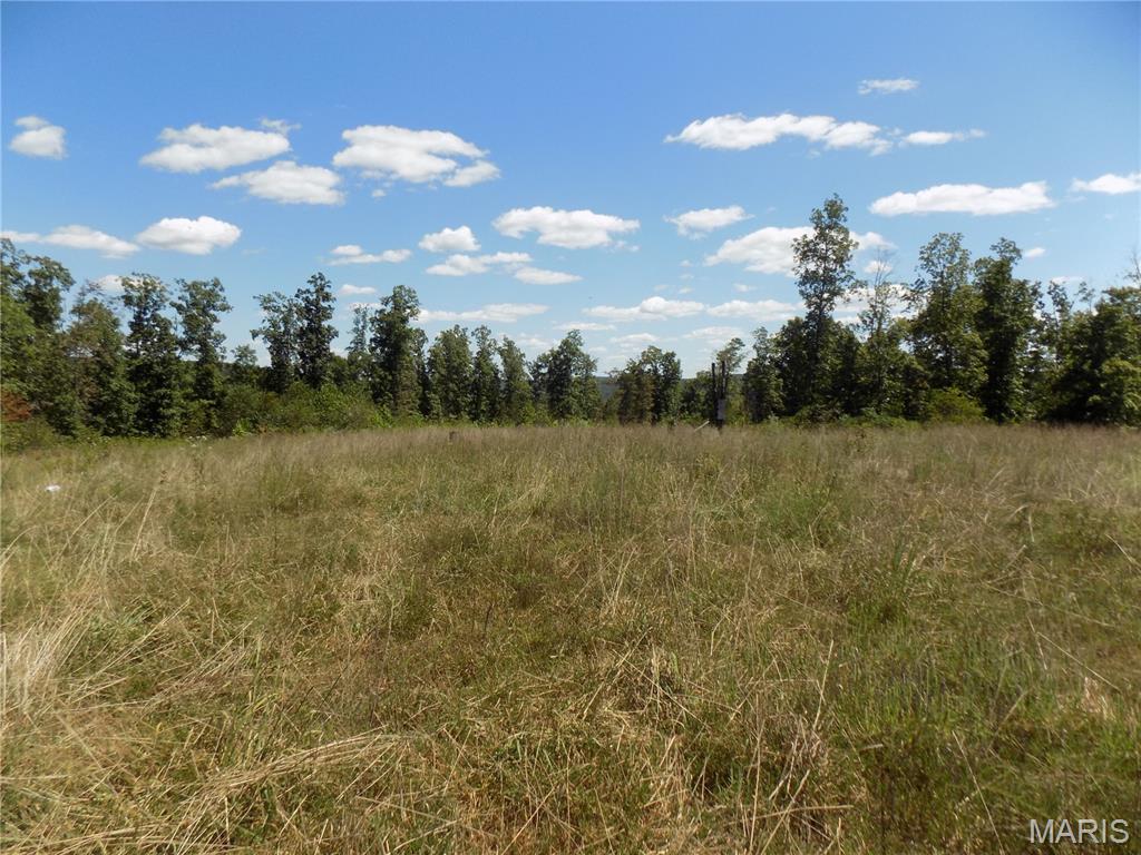 5559 A County Road, Unit 124 Arcadia, MO 63621 - Photo 4 of 7