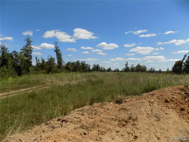 $110,000 | 5559 A County Road, Unit 124, Arcadia, MO 63621