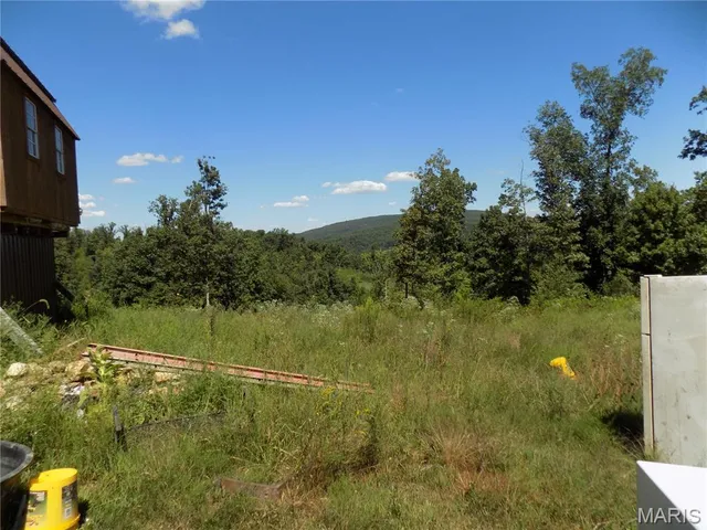 $110,000 | 5559 A County Road, Unit 124, Arcadia, MO 63621