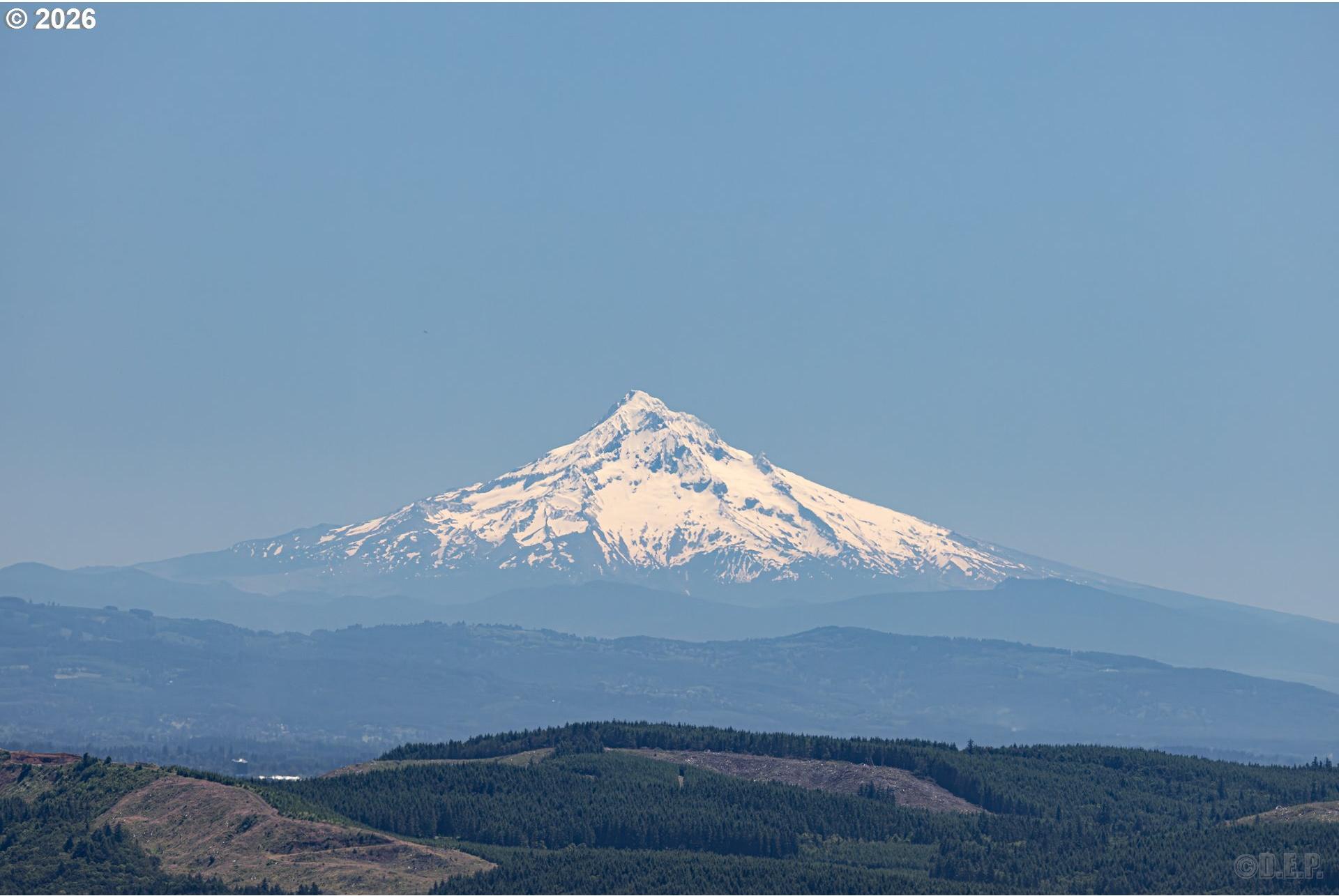 27546 Clark Road Deer Island, OR 97054 - Photo 13 of 21 Gallery Image 13