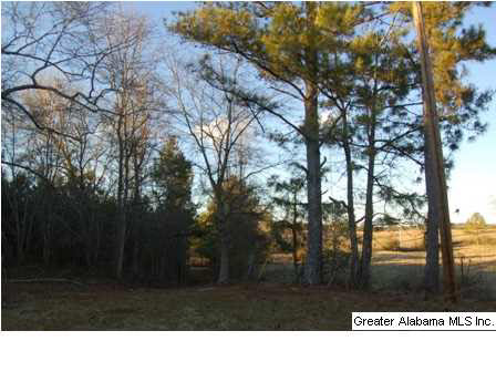 66 County Road, Unit 50 Woodland, AL 36280 - Photo 6 of 12