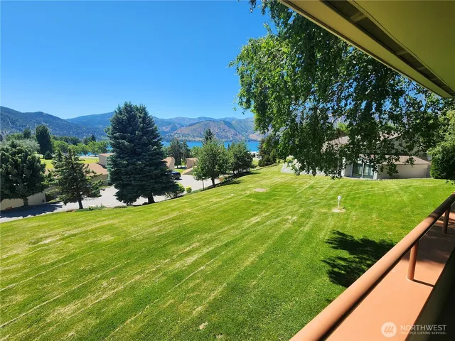 a view of a field of grass and a tree
