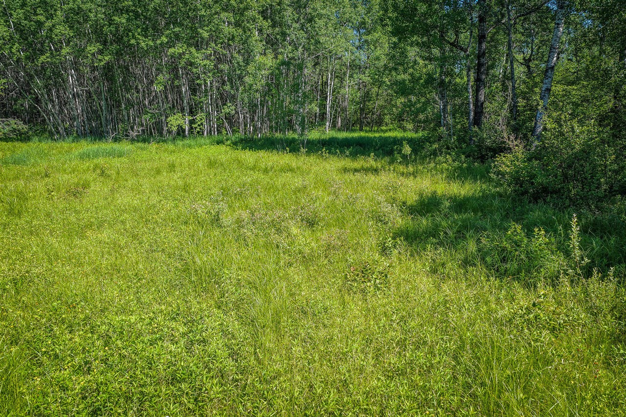 South North Hulbert Road Eckerman, MI 49728 - Photo 12 of 29