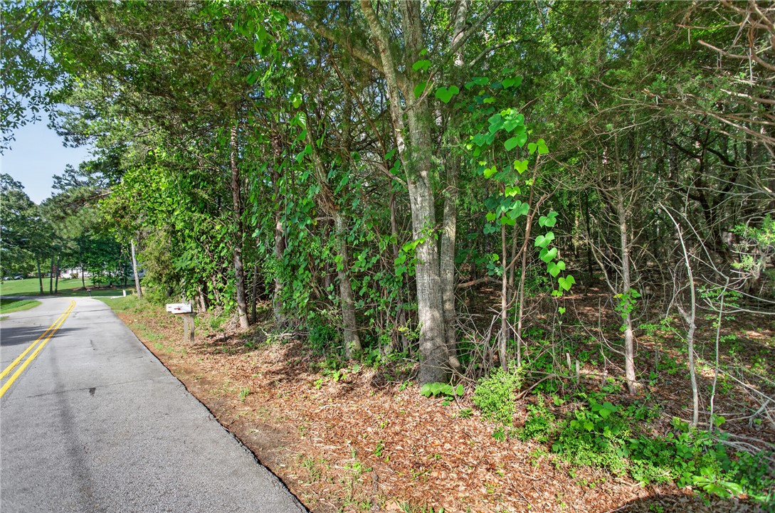 0 Barnes Road Seneca, SC 29672 - Photo 4 of 16 Mature trees and lush greenery border this peaceful, private lot alongside a quiet country road.