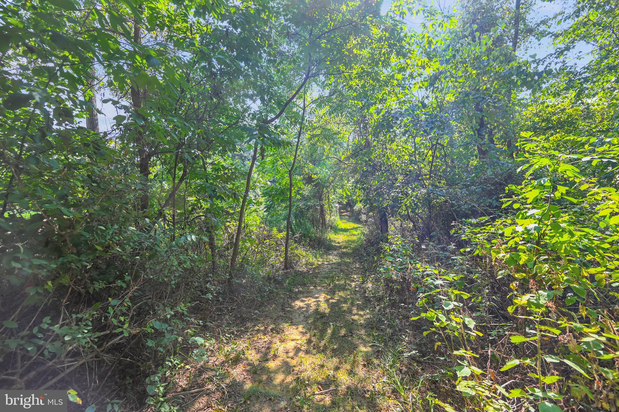 30 Mt Carmel Road Orrtanna, PA 17353 - Photo 23 of 44