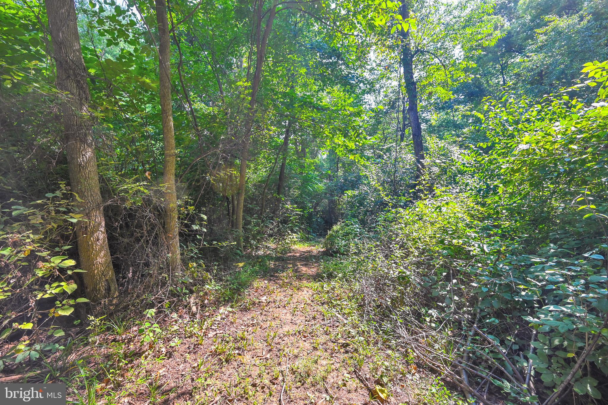 30 Mt Carmel Road Orrtanna, PA 17353 - Photo 25 of 44