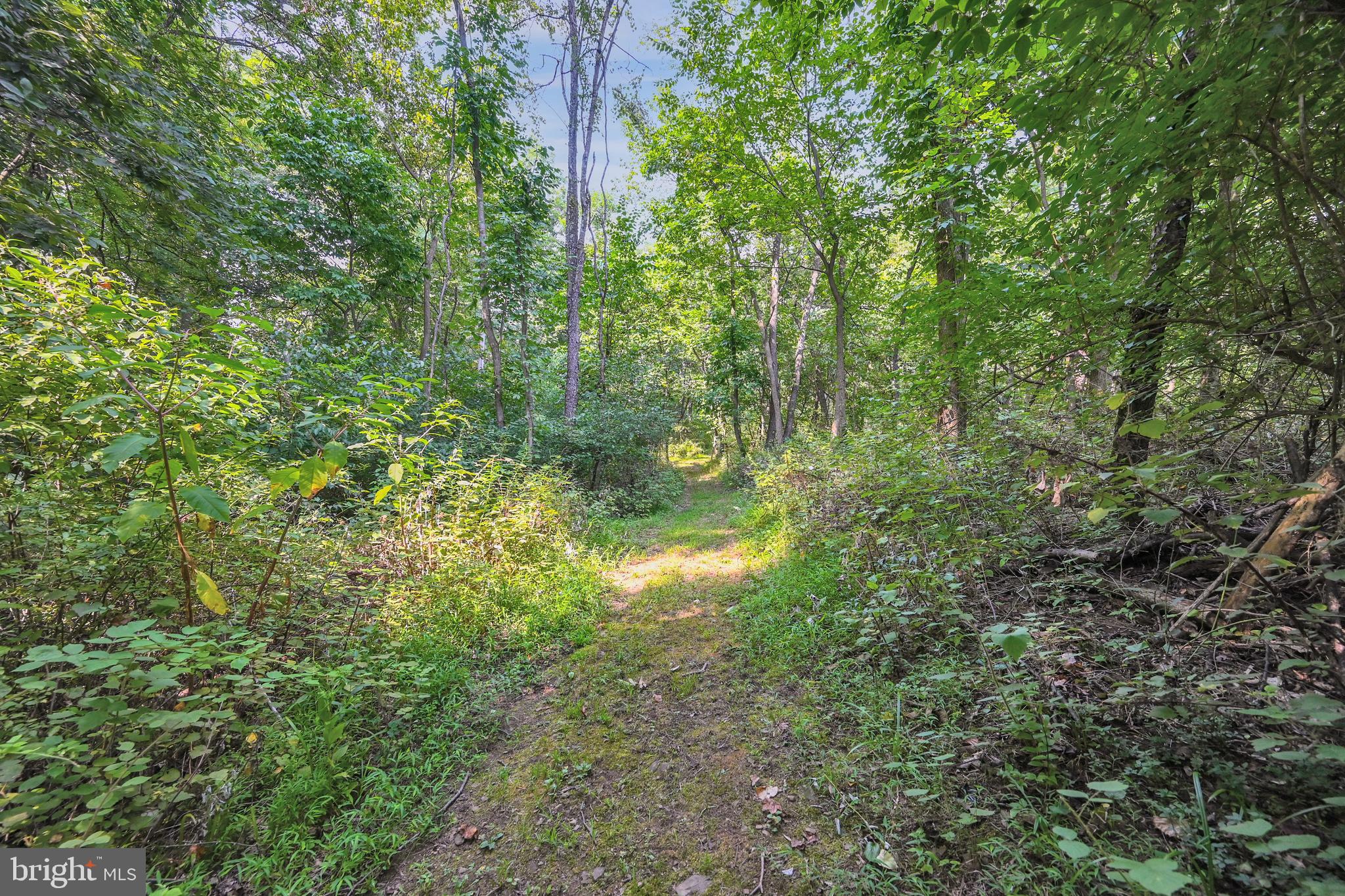 30 Mt Carmel Road Orrtanna, PA 17353 - Photo 31 of 44