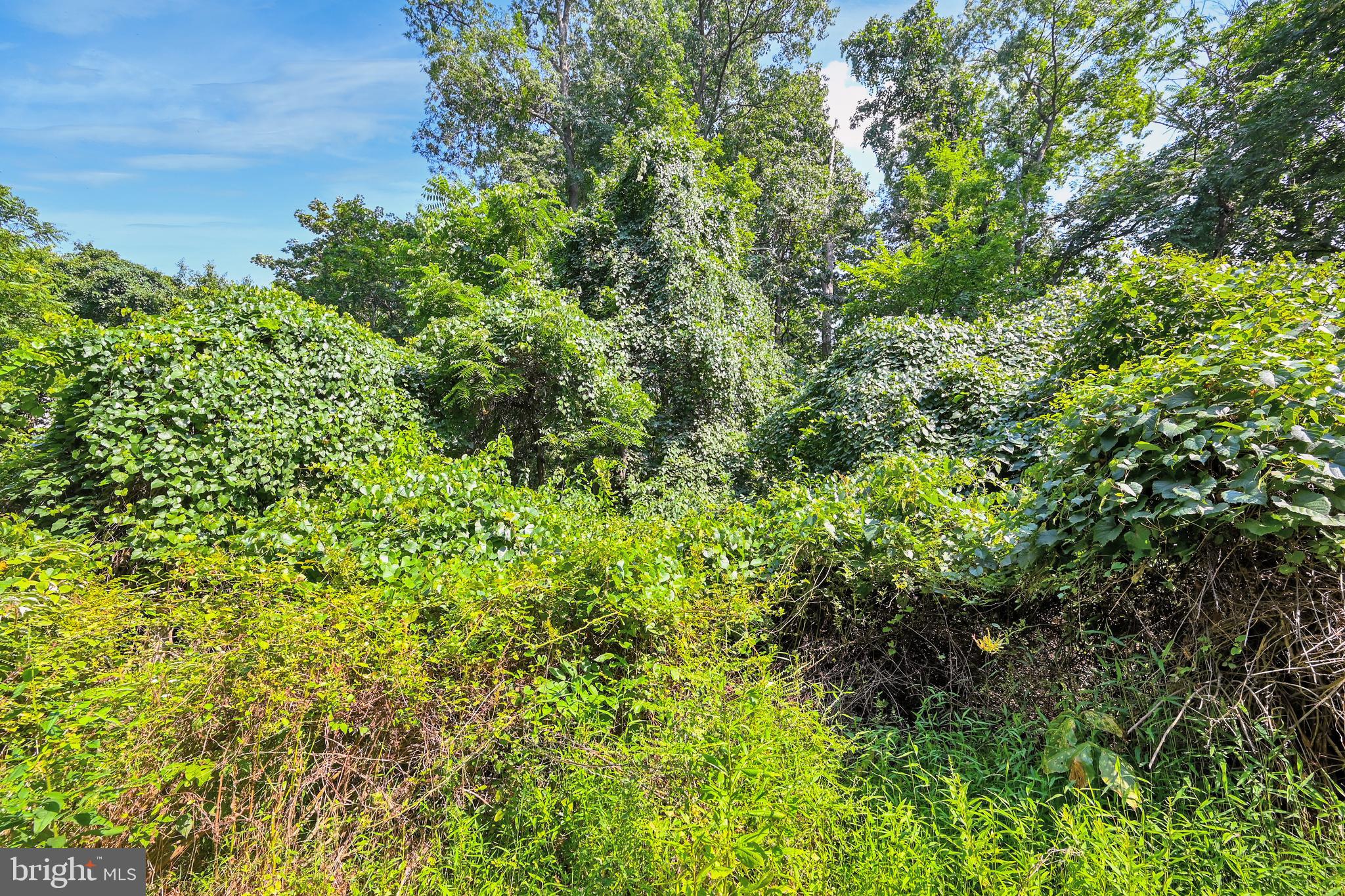 30 Mt Carmel Road Orrtanna, PA 17353 - Photo 37 of 44