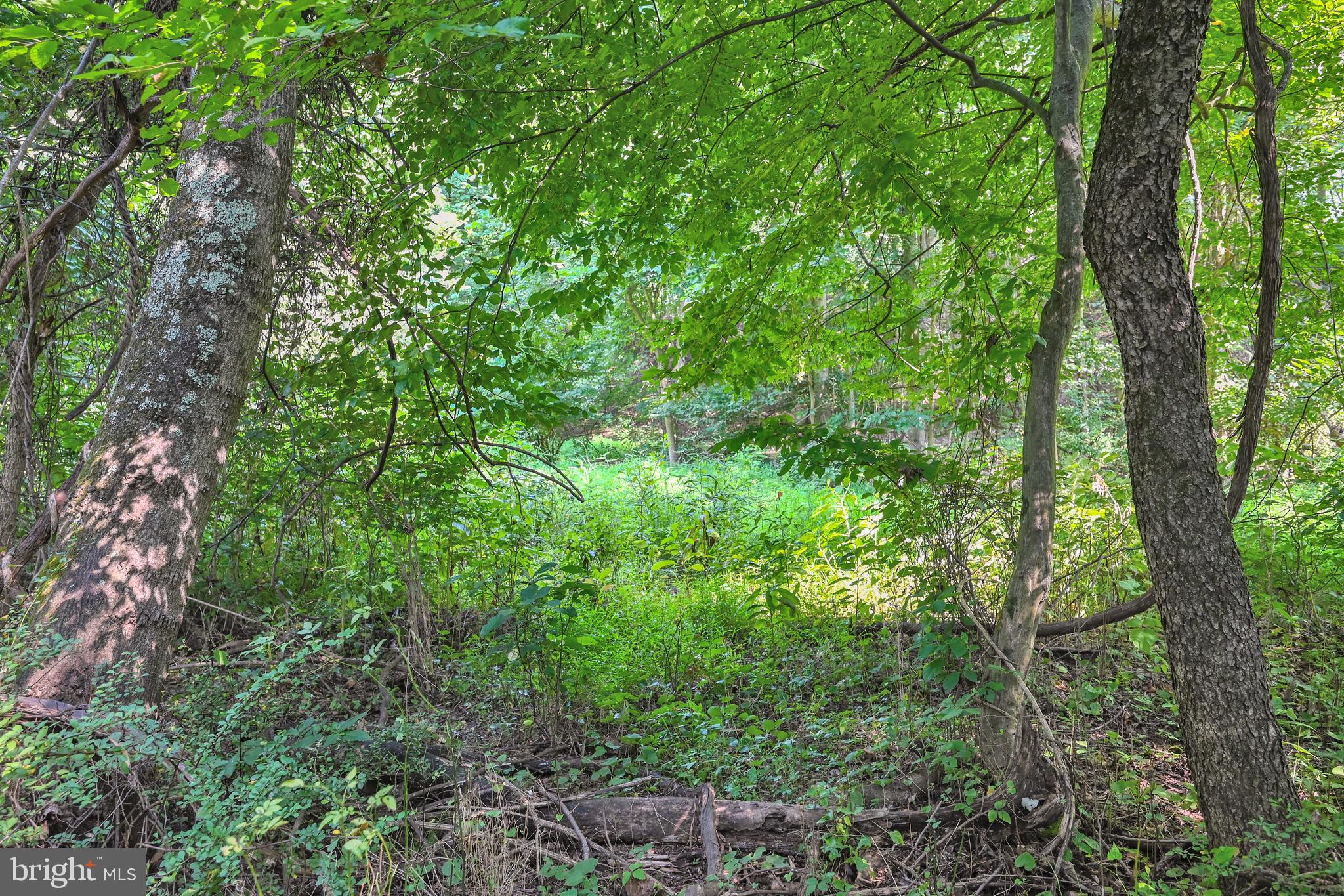 30 Mt Carmel Road Orrtanna, PA 17353 - Photo 38 of 44