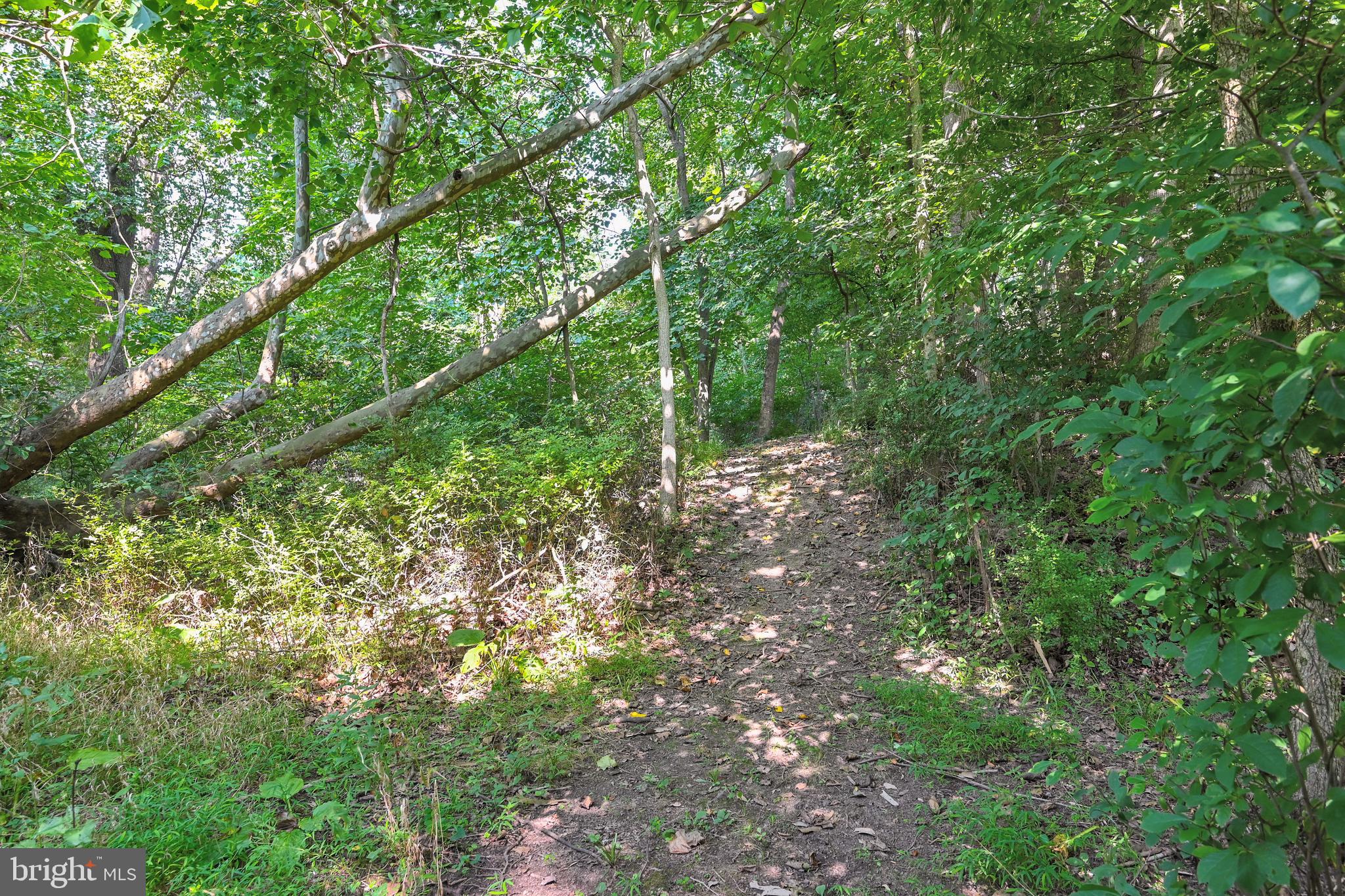 30 Mt Carmel Road Orrtanna, PA 17353 - Photo 41 of 44