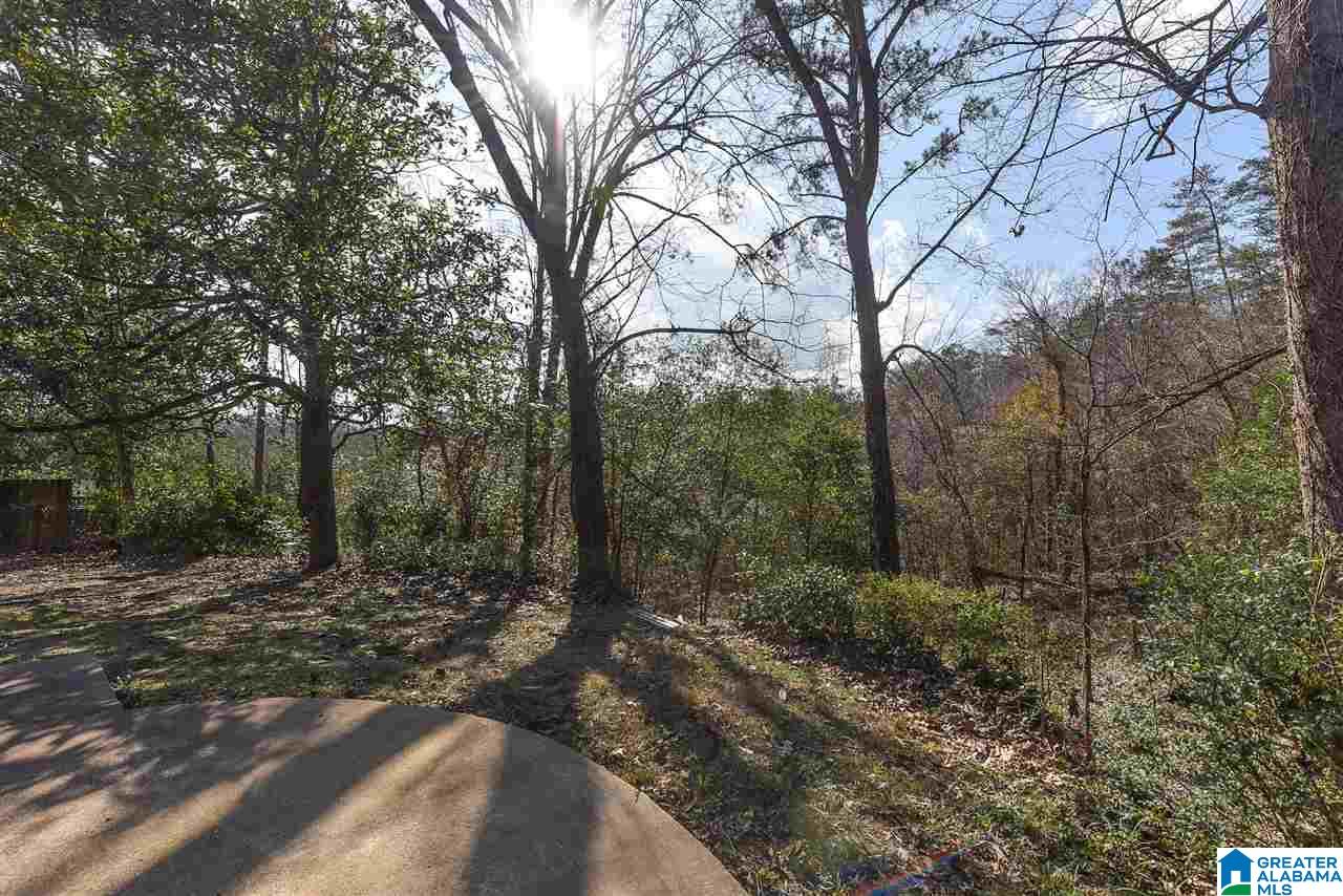 3709 Forest Run Road Birmingham, AL 35223 - Photo 6 of 49