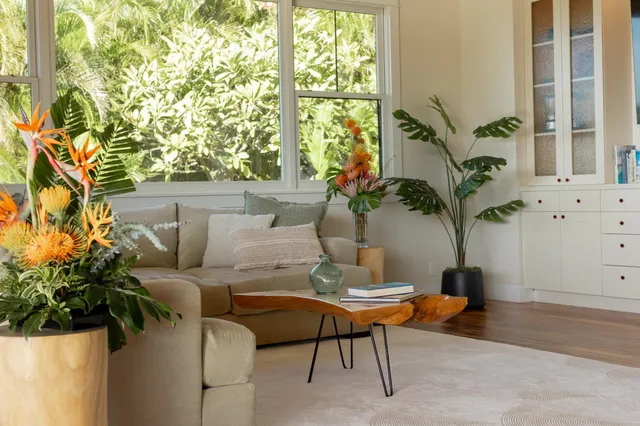 a living room with furniture a potted plant and a window
