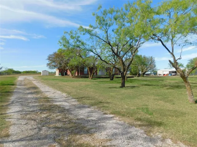 a view of a park with large trees