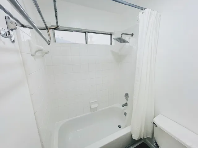 a bathroom with a shower and a toilet