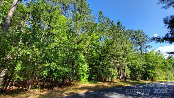 $99,900 | 0 Loblolly Ln Mill Spring, Unit 24/23/22, Mill Spring, NC 28756