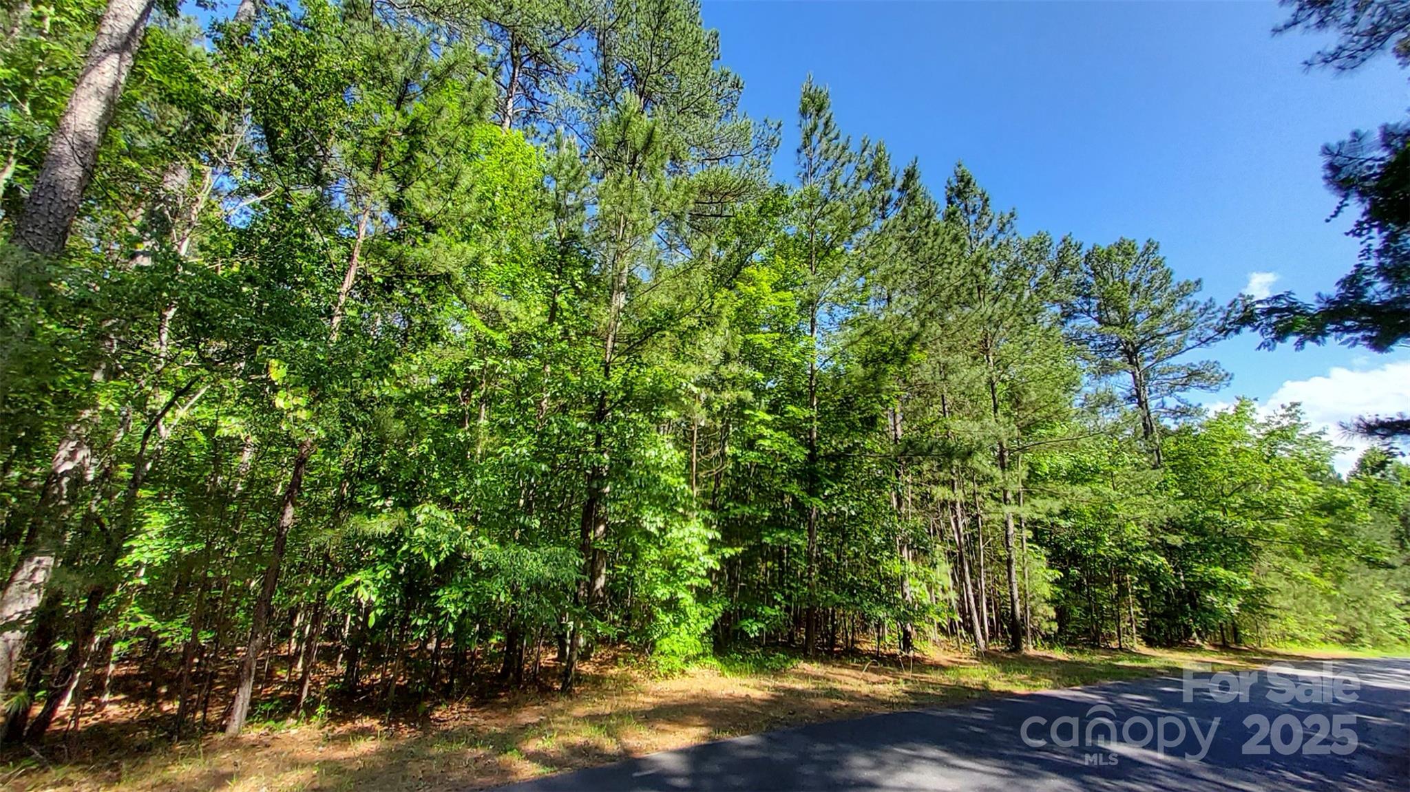 0 Loblolly Ln Mill Spring, Unit 24/23/22 Mill Spring, NC 28756 - Photo 11 of 19