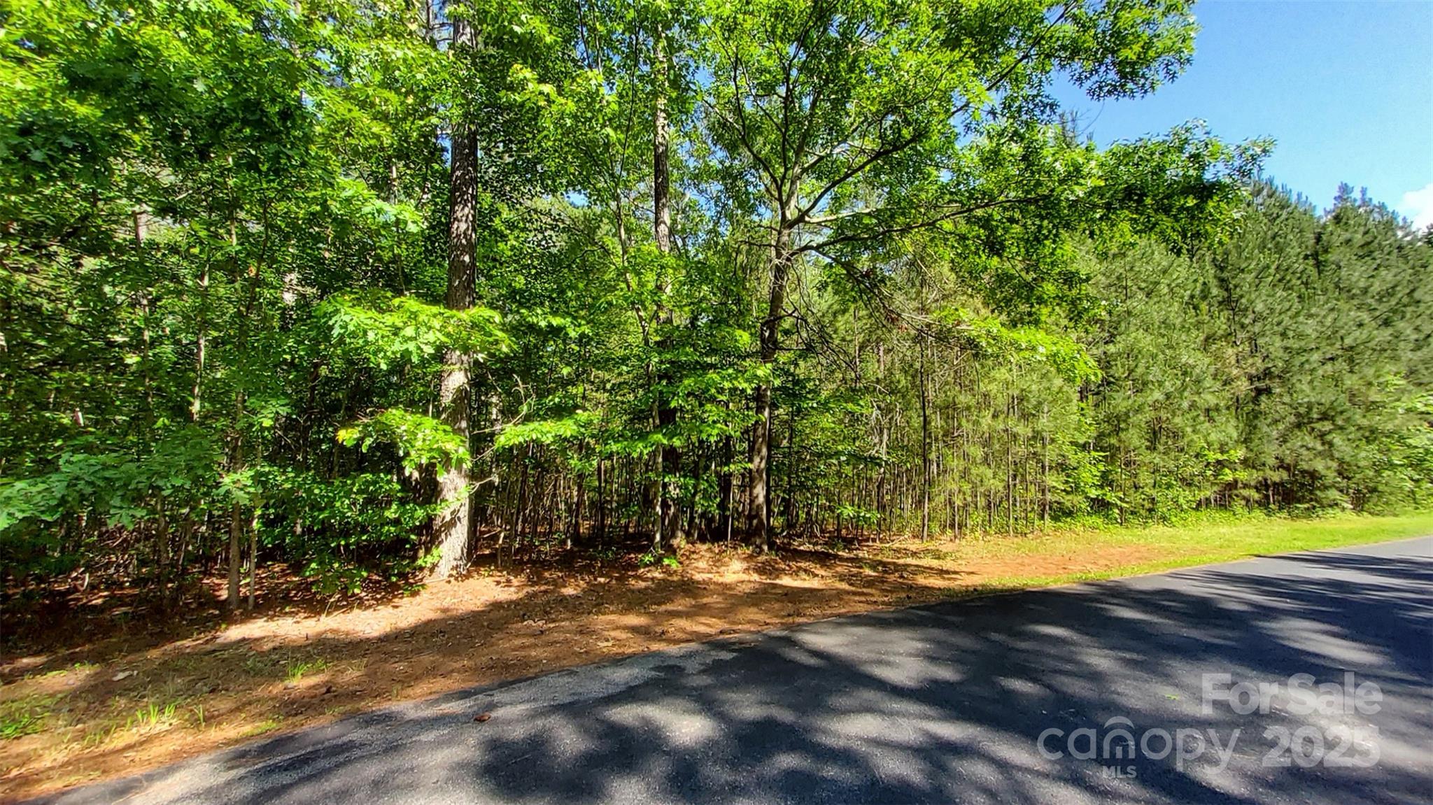 0 Loblolly Ln Mill Spring, Unit 24/23/22 Mill Spring, NC 28756 - Photo 12 of 19