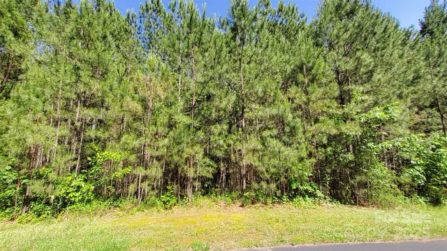 $99,900 | 0 Loblolly Ln Mill Spring, Unit 24/23/22, Mill Spring, NC 28756