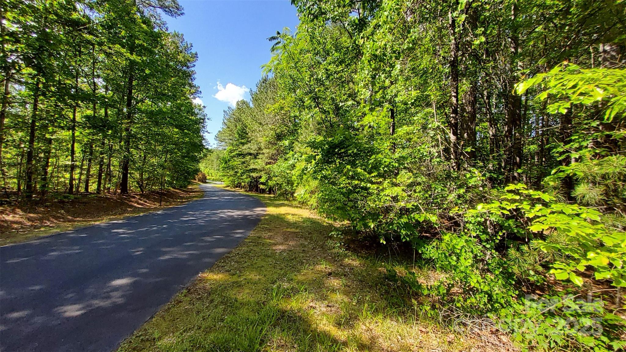 0 Loblolly Ln Mill Spring, Unit 24/23/22 Mill Spring, NC 28756 - Photo 15 of 19