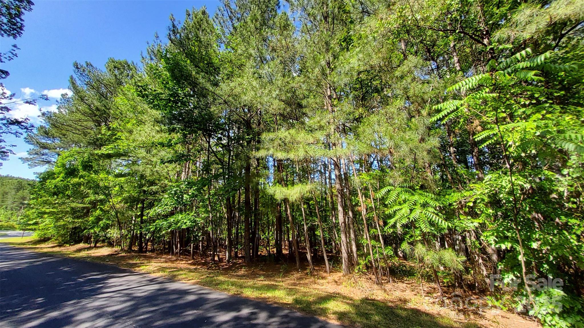 0 Loblolly Ln Mill Spring, Unit 24/23/22 Mill Spring, NC 28756 - Photo 16 of 19