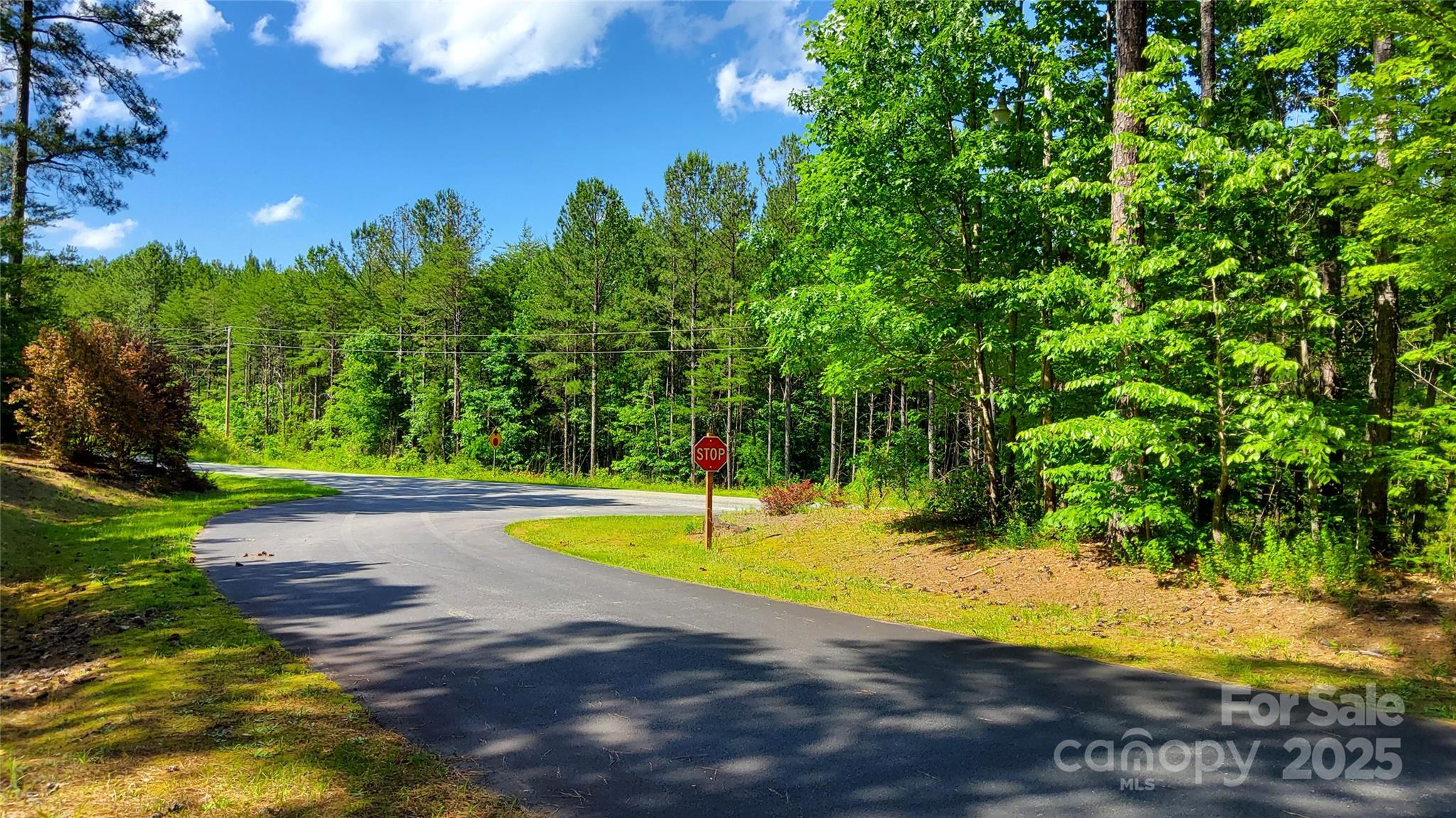 0 Loblolly Ln Mill Spring, Unit 24/23/22 Mill Spring, NC 28756 - Photo 18 of 19
