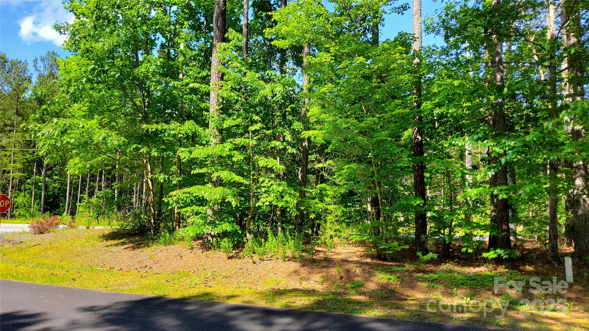 0 Loblolly Ln Mill Spring, Unit 24/23/22 Mill Spring, NC 28756 - Photo 2 of 19