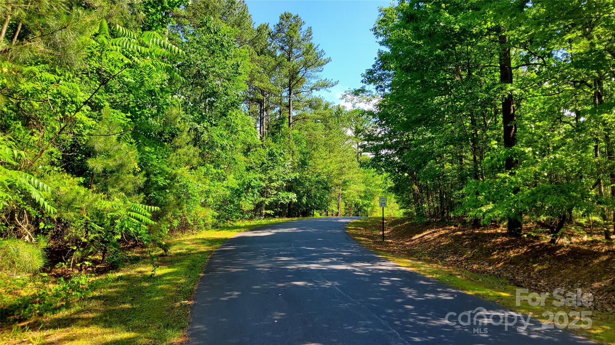 0 Loblolly Ln Mill Spring, Unit 24/23/22 Mill Spring, NC 28756 - Photo 3 of 19