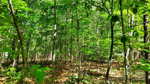 $99,900 | 0 Loblolly Ln Mill Spring, Unit 24/23/22, Mill Spring, NC 28756