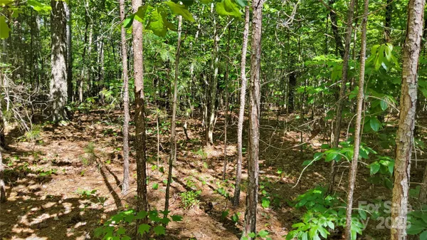 $99,900 | 0 Loblolly Ln Mill Spring, Unit 24/23/22, Mill Spring, NC 28756