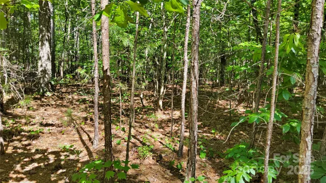 $99,900 | 0 Loblolly Ln Mill Spring, Unit 24/23/22, Mill Spring, NC 28756