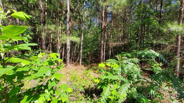 $99,900 | 0 Loblolly Ln Mill Spring, Unit 24/23/22, Mill Spring, NC 28756