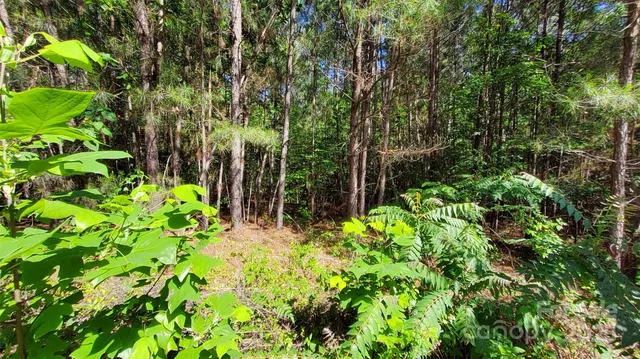 $99,900 | 0 Loblolly Ln Mill Spring, Unit 24/23/22, Mill Spring, NC 28756