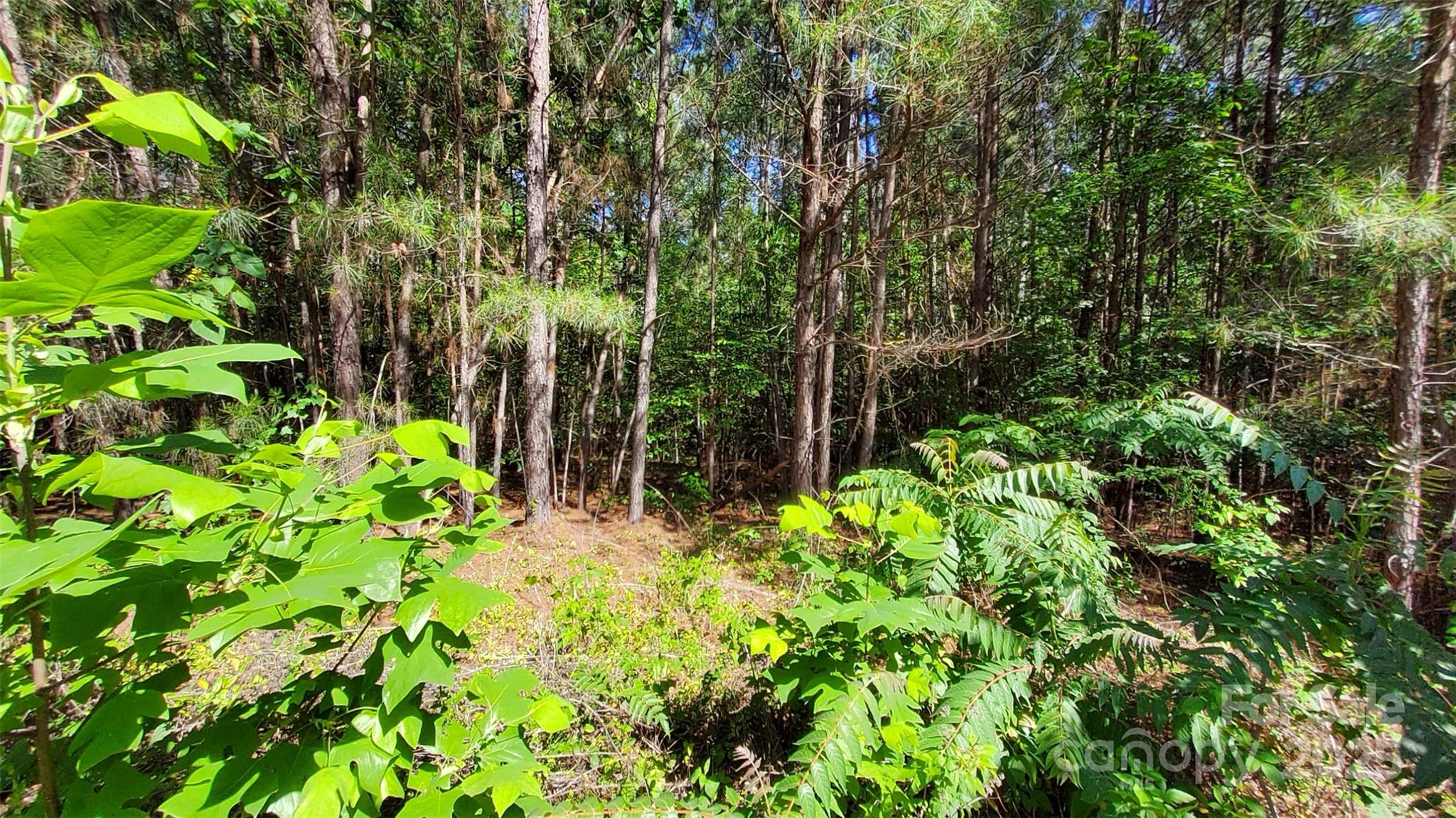 0 Loblolly Ln Mill Spring, Unit 24/23/22 Mill Spring, NC 28756 - Photo 8 of 19