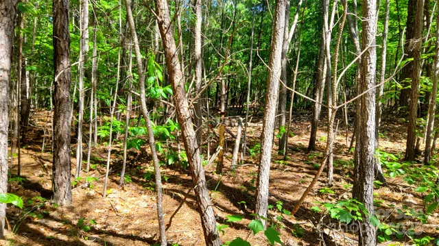 $99,900 | 0 Loblolly Ln Mill Spring, Unit 24/23/22, Mill Spring, NC 28756