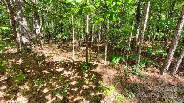 $99,900 | 0 Loblolly Ln Mill Spring, Unit 24/23/22, Mill Spring, NC 28756