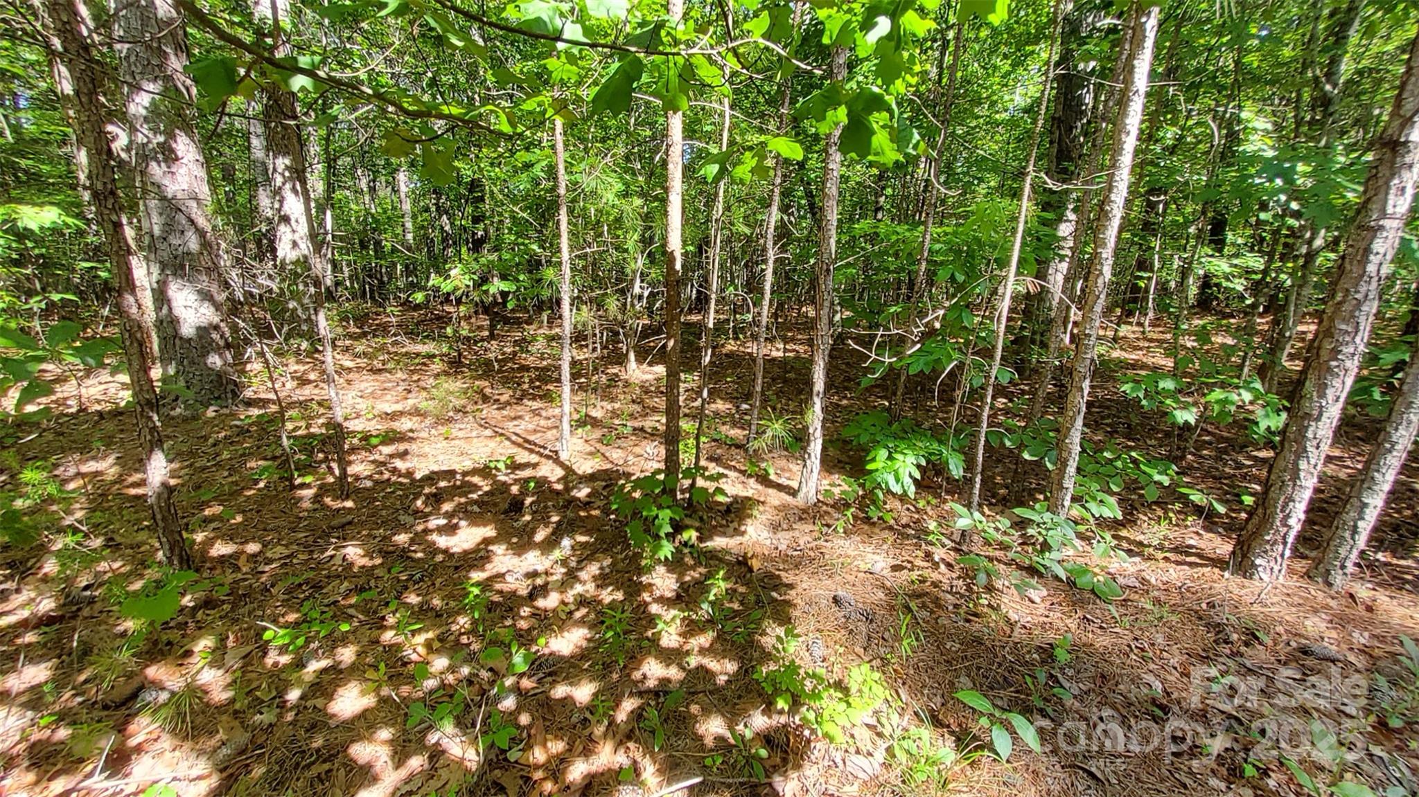 0 Loblolly Ln Mill Spring, Unit 24/23/22 Mill Spring, NC 28756 - Photo 10 of 19