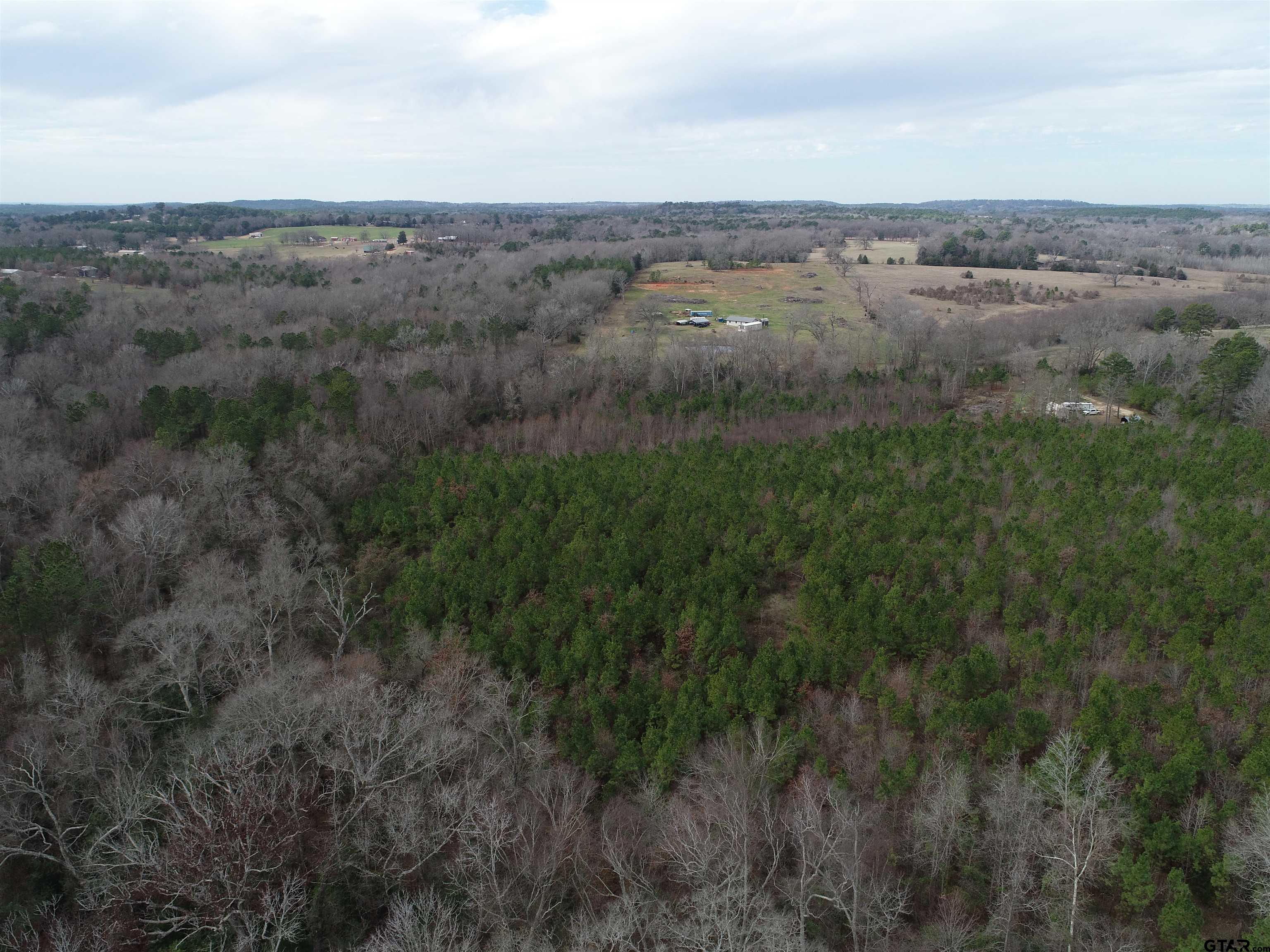 4557 Elderberry Road Gilmer, TX 75644 - Photo 21 of 38