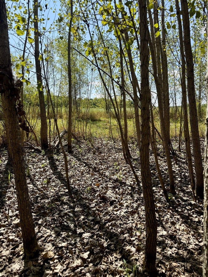 V/l Cade Road Capac, MI 48014 - Photo 24 of 43 Gallery Image 24