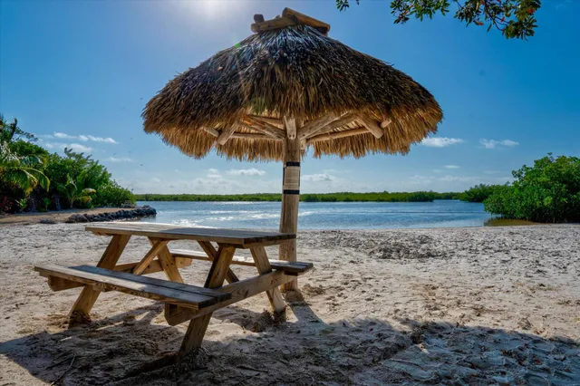 a view of a basketball court