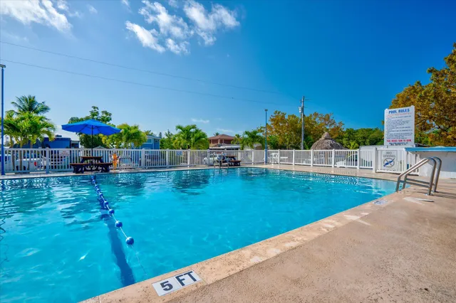 a view of a patio with a tree