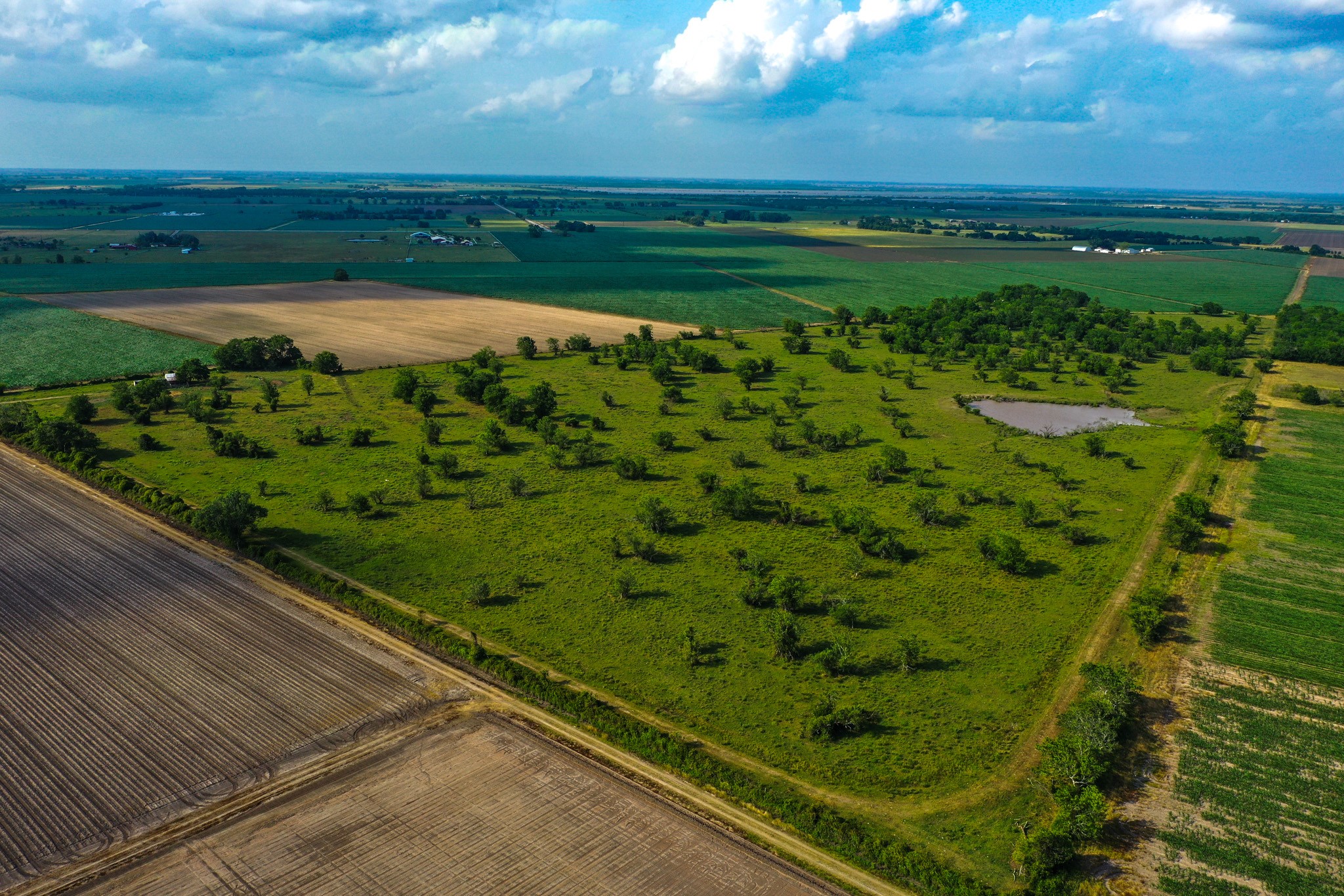 0 Koym Road Beasley, TX 77417 - Photo 11 of 19