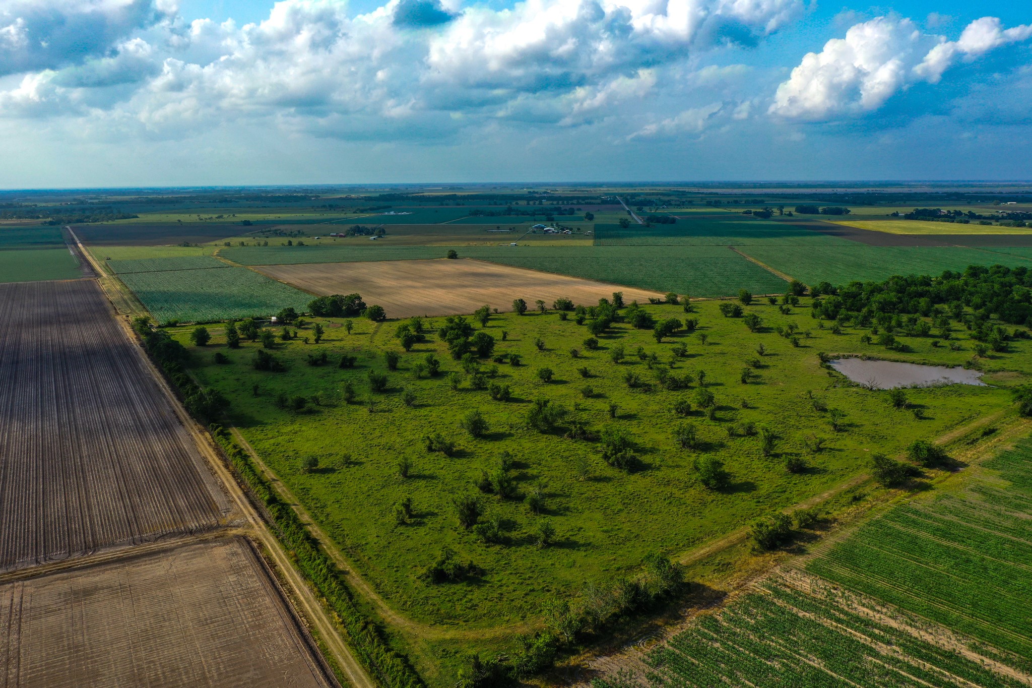 0 Koym Road Beasley, TX 77417 - Photo 12 of 19