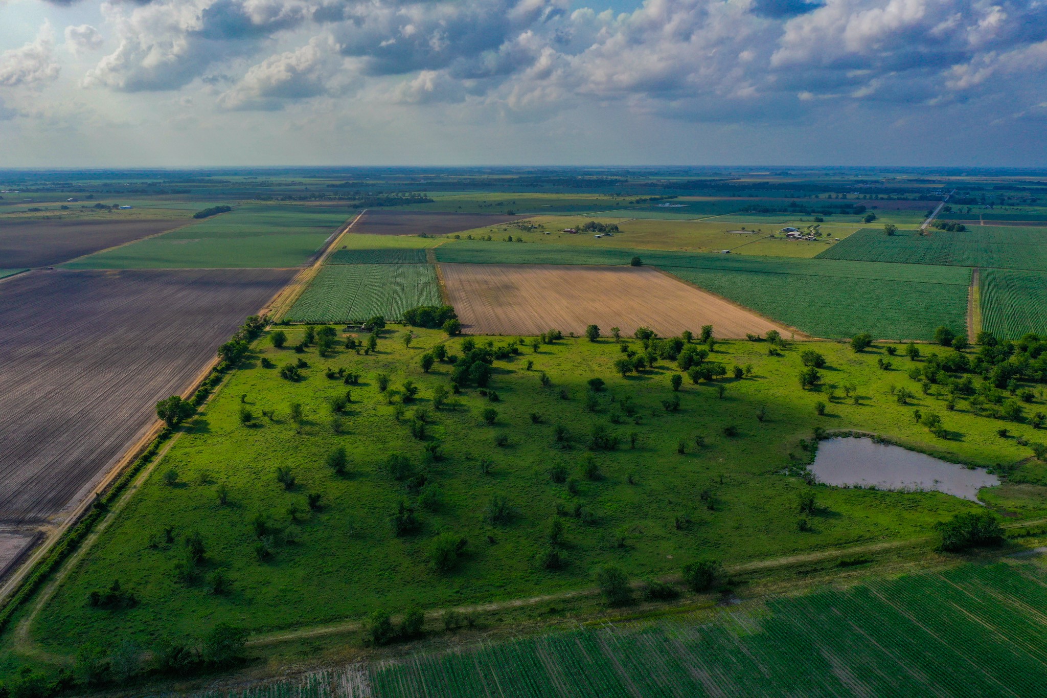 0 Koym Road Beasley, TX 77417 - Photo 13 of 19