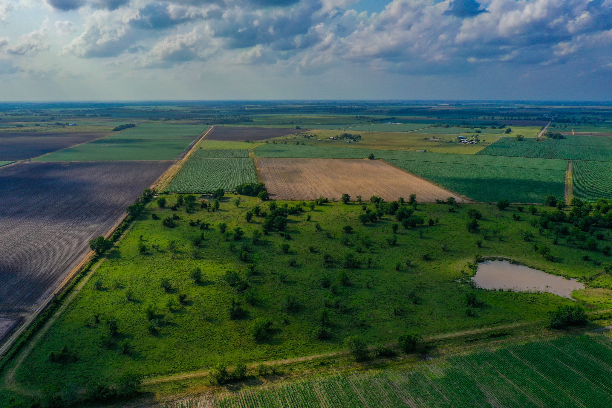 0 Koym Road Beasley, TX 77417 - Photo 14 of 19