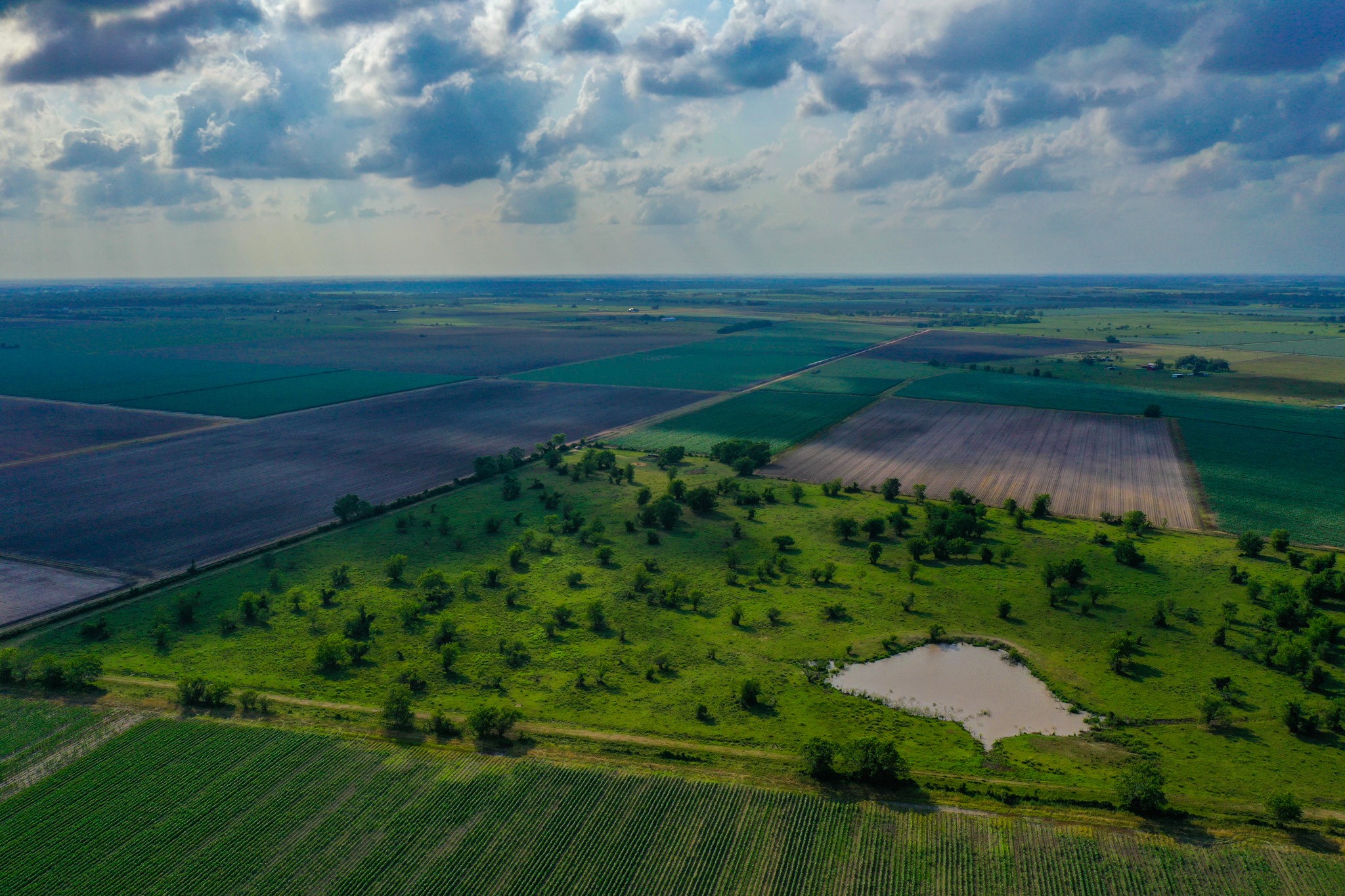 0 Koym Road Beasley, TX 77417 - Photo 15 of 19