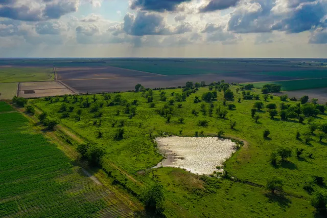 $4,362,500 | 0 Koym Road, Beasley, TX 77417